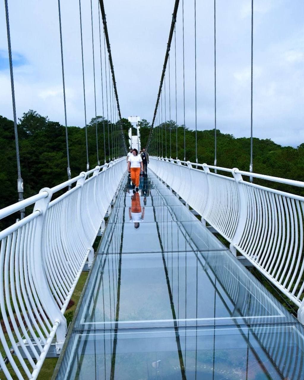 ДАЛАТ МОСТ | DALAT BRIDGE