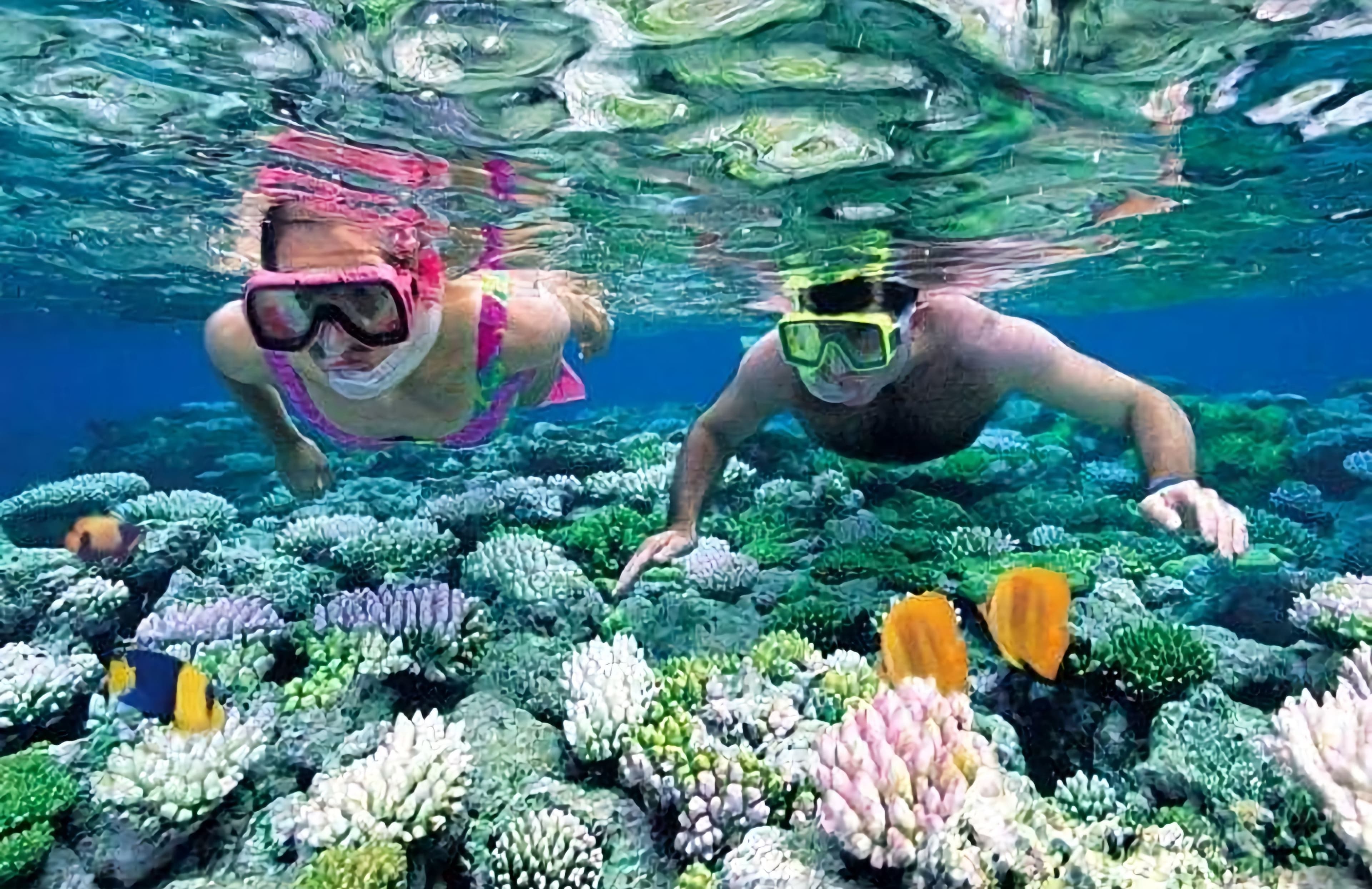 РЫБАЛКА ДНЕВНАЯ